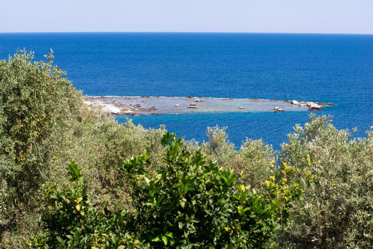 Archodissa Villa Thimonia Exterior foto